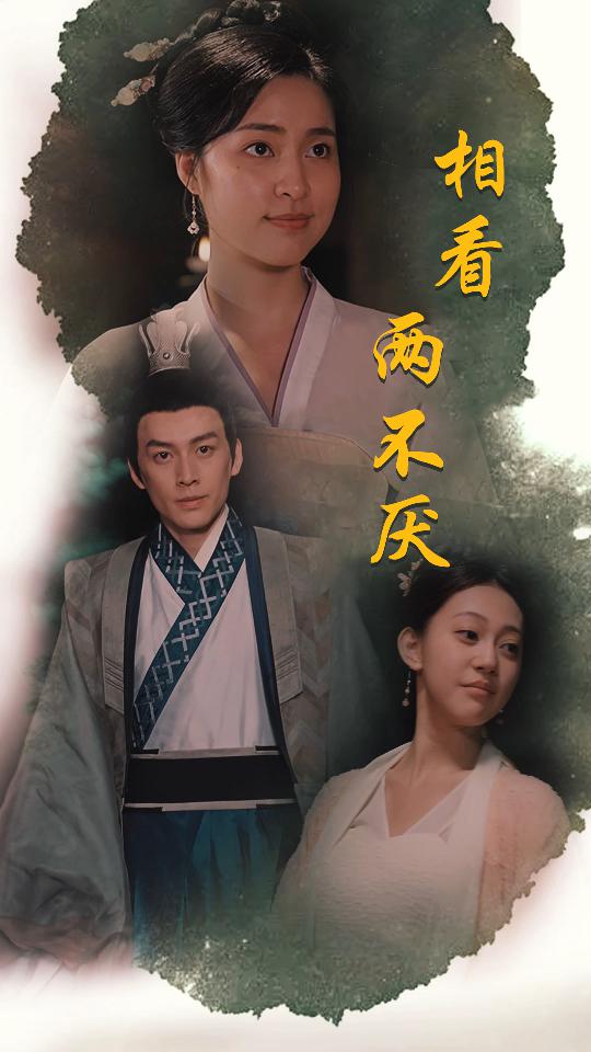 相看两不厌这个王妃不好惹全集(大结局)