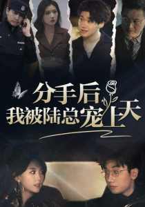 分手后，我被陆总宠上天全集 (上)(大结局)