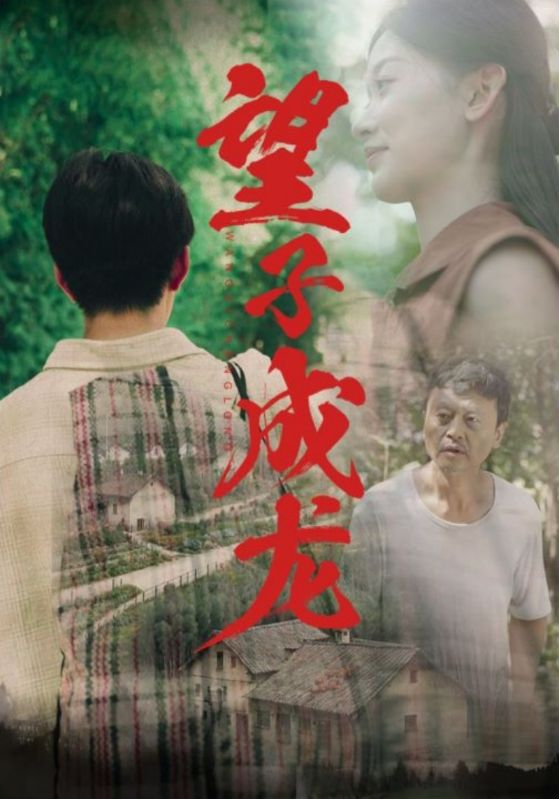 望子成龙全集(大结局)