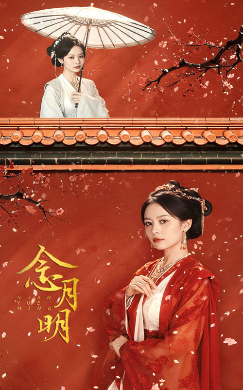 念月明全集(大结局)