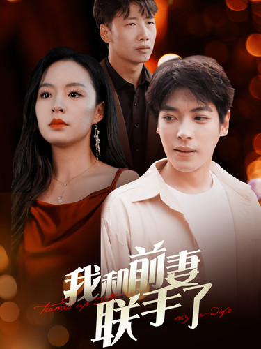 我和前妻联手了全集(大结局)