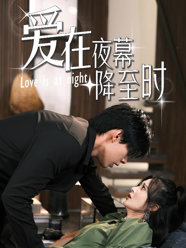 爱在夜幕降至时全集(大结局)