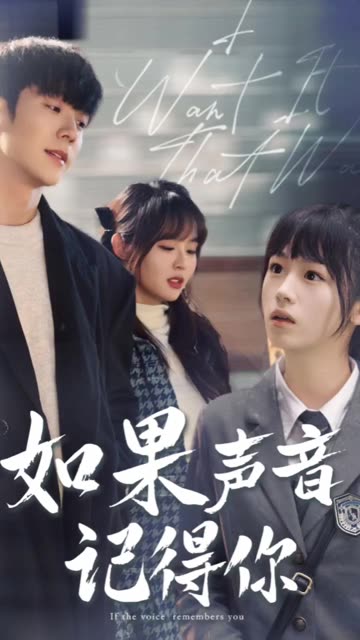如果声音记得你全集(大结局)