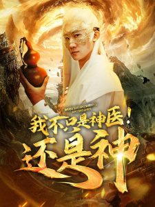 我不只是神医还是神全集(大结局)