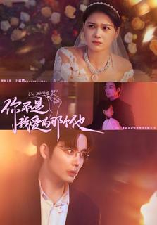 你不是我爱的那个他全集(大结局)