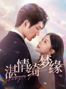 沉沦湛情琦梦缘全集(大结局)
