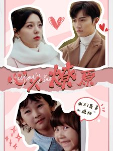 心火燎原全集(大结局)