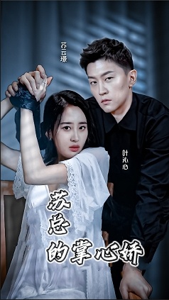 苏总的掌心骄全集(大结局)