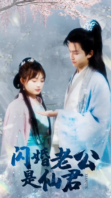 闪婚老公是仙君全集(大结局)