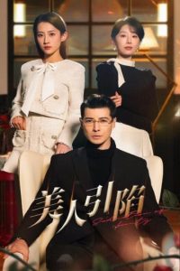 美人引陷全集(大结局)