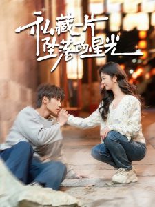 私藏一片坠落的星光全集(大结局)