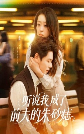 听说我成了前夫的朱砂痣全集(大结局)