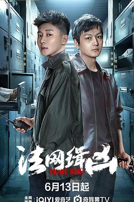 法网缉凶(全集)