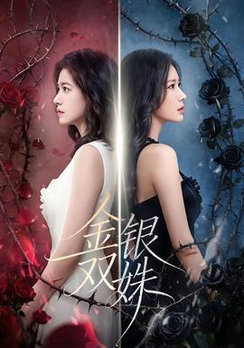 金银双姝(全集)